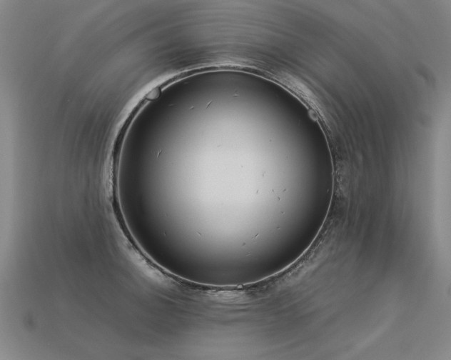 X0000113621140200909181434