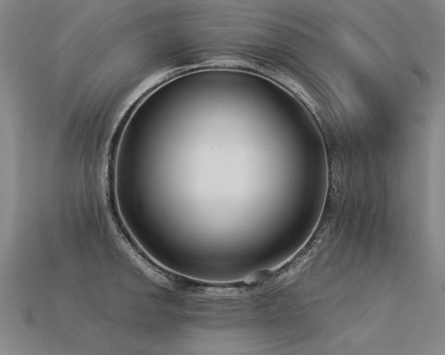 X0000113621142200909181434