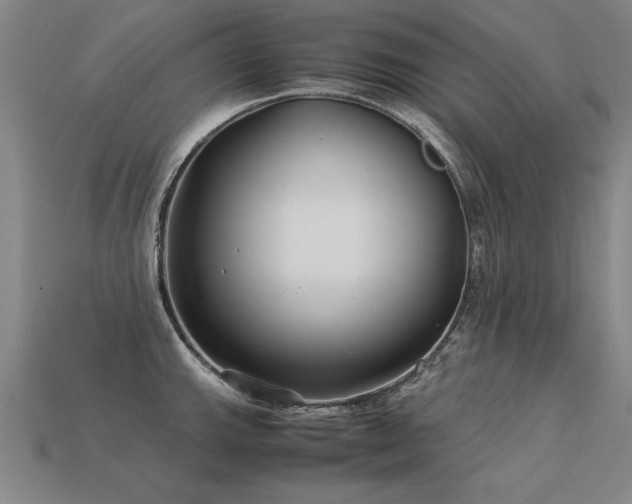 X0000113621143200909181434