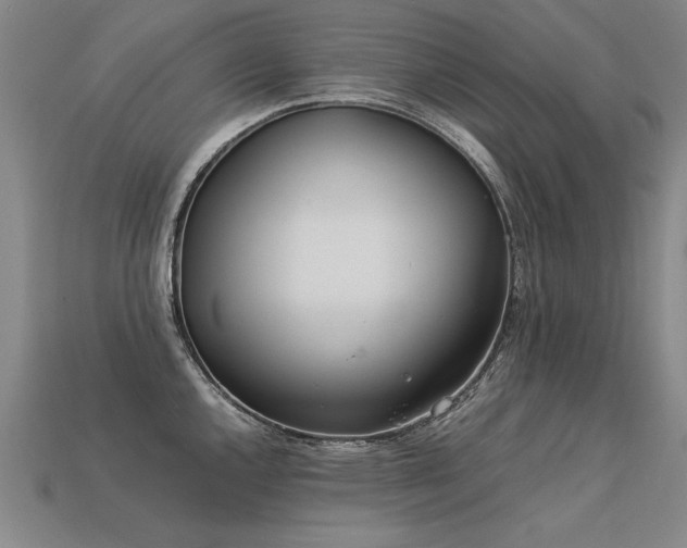 X0000113621144200909181434