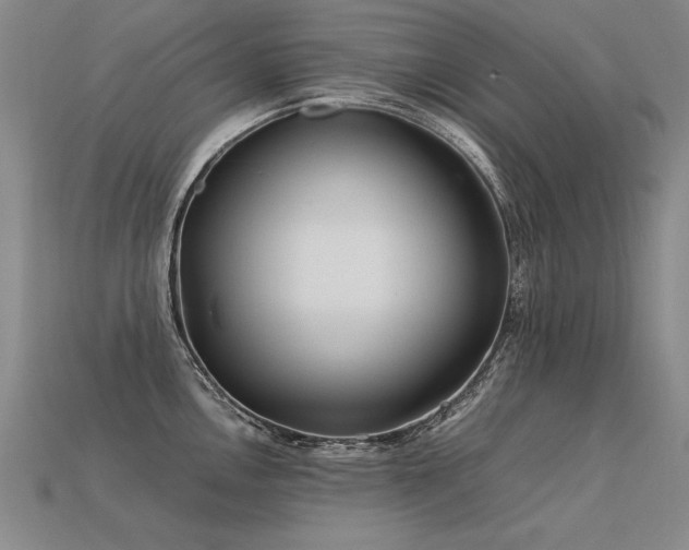 X0000113621146200909181434