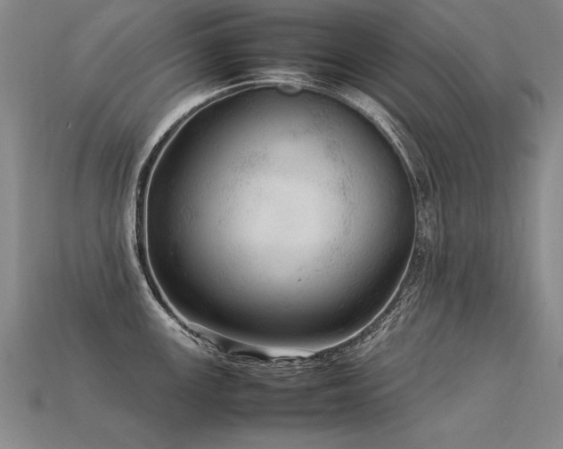 X0000113621147200909181434