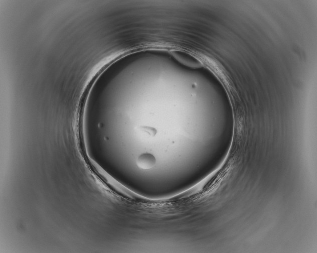 X0000113621149200909181434