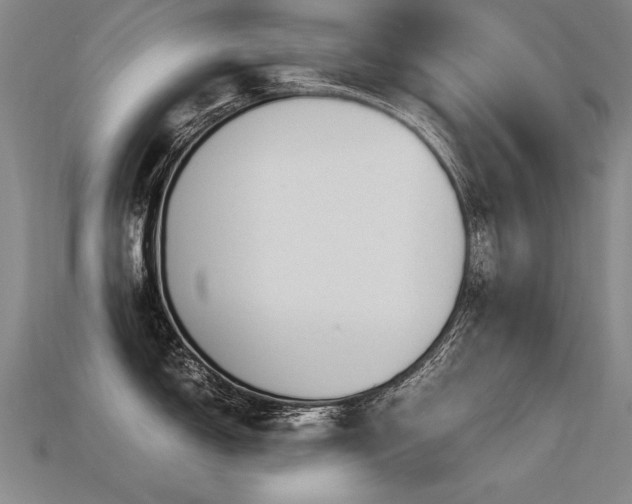 X0000113621150200909181434