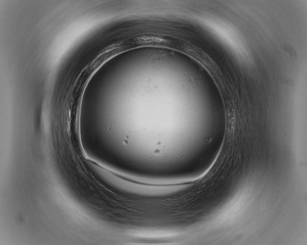 X0000113621151200909181434