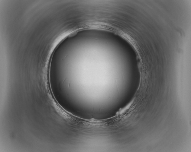 X0000113621152200909181434