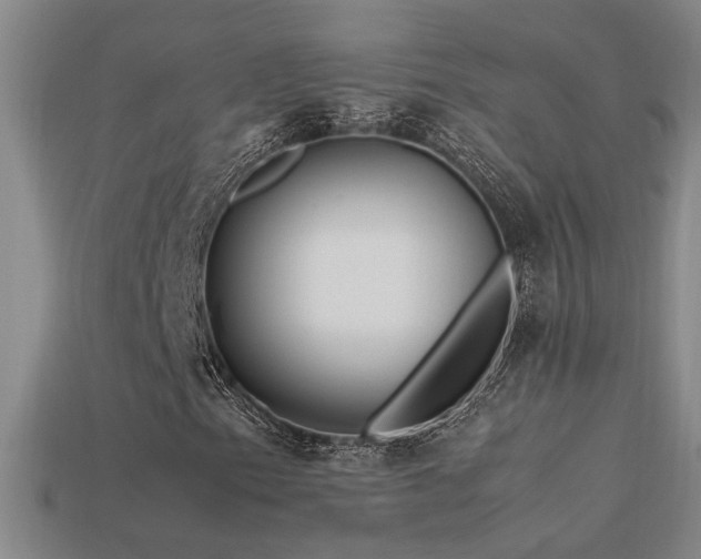 X0000113621153200909181433