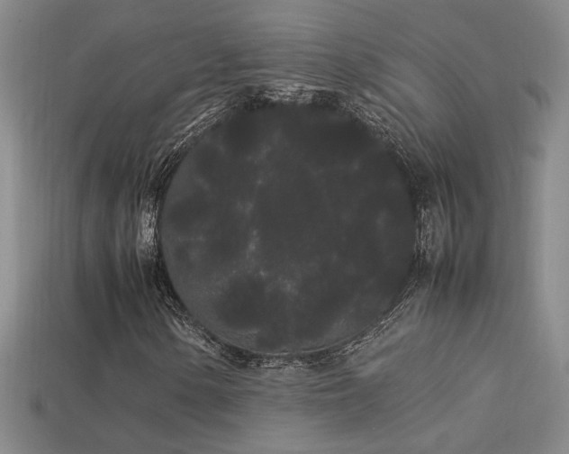 X0000113621154200909181433