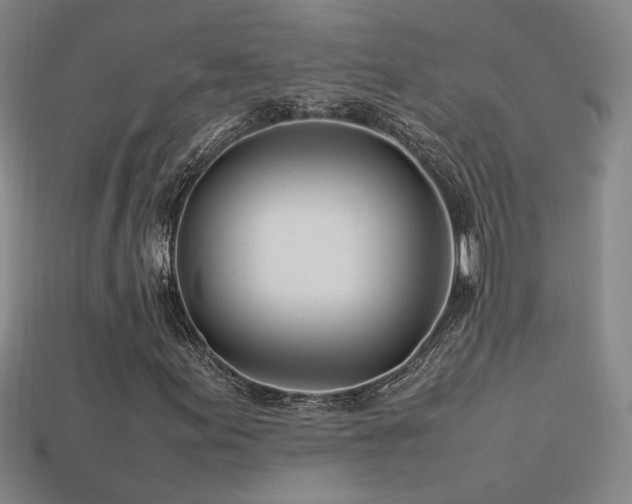 X0000113621155200909181433