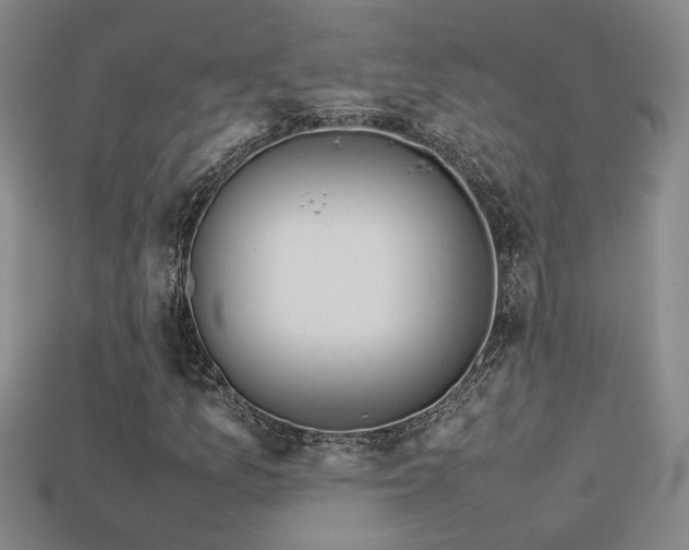 X0000113621157200909181433