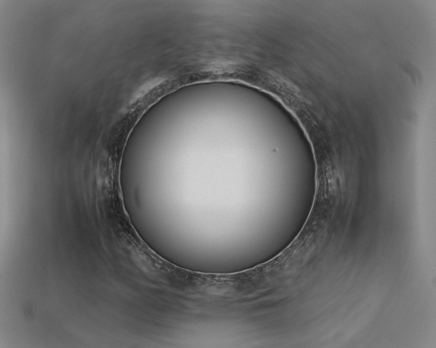 X0000113621158200909181433