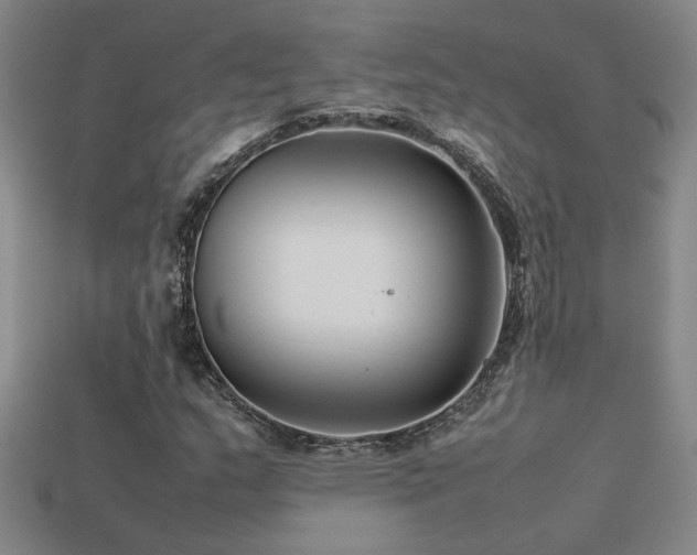 X0000113621159200909181433