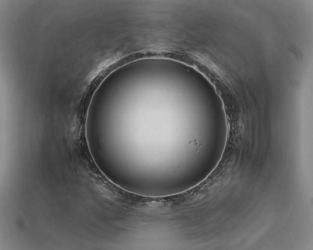 X0000113621160200909181433