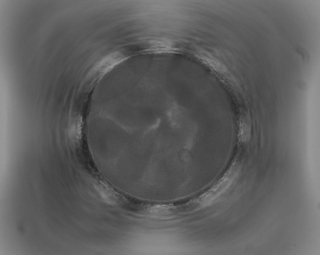 X0000113621161200909181433