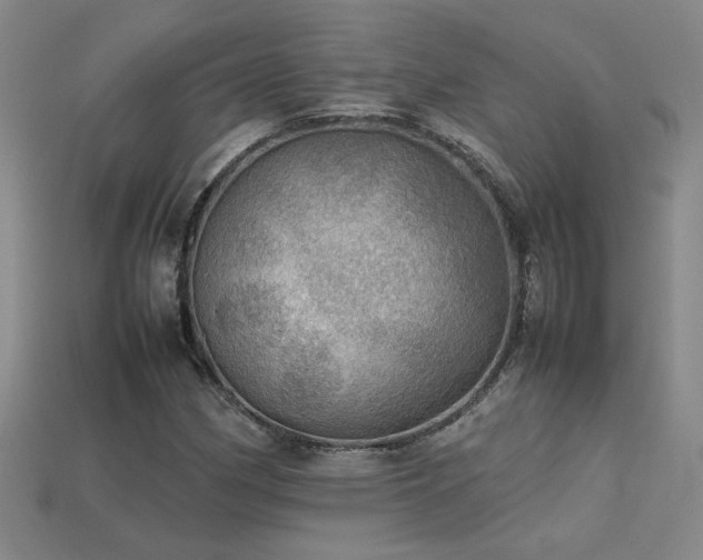 X0000113621162200909181433