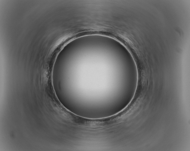 X0000113621163200909181433