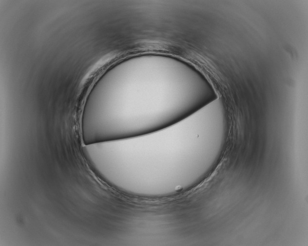 X0000113621164200909181433