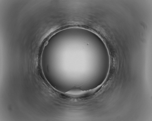 X0000113621165200909181433