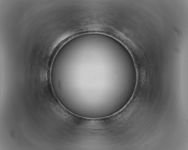 X0000113621166200909181433