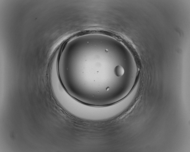 X0000113621167200909181433