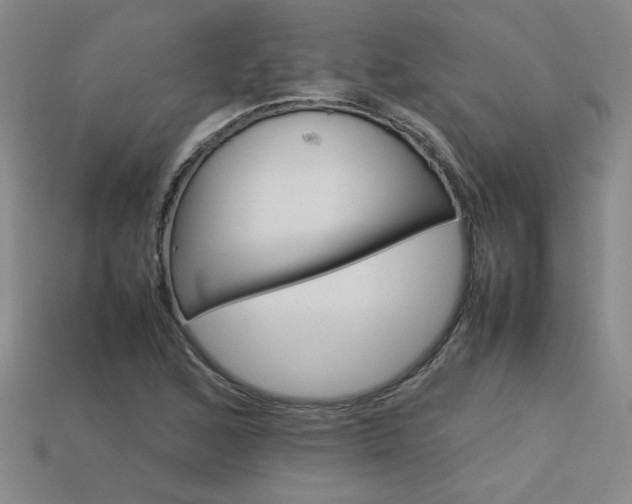 X0000113621168200909181433