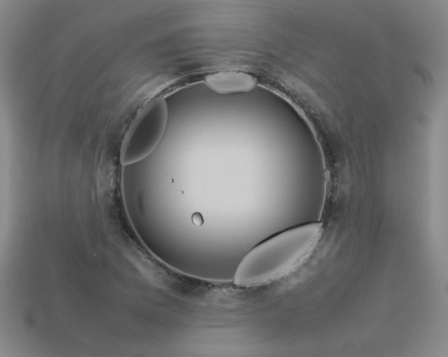 X0000113621169200909181433