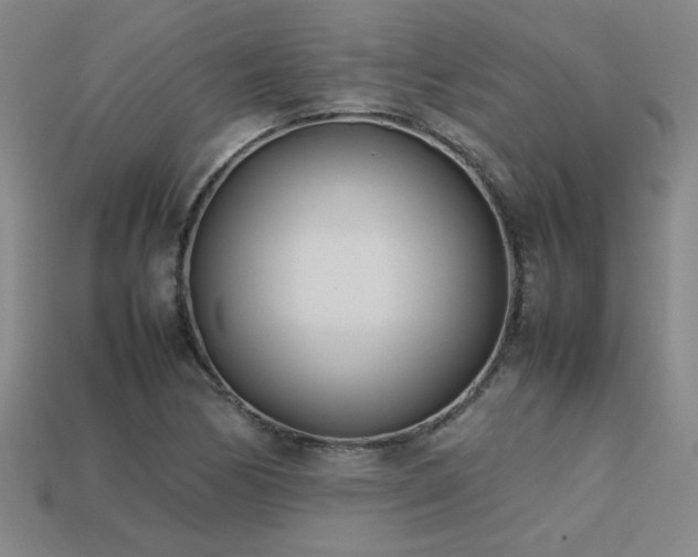 X0000113621170200909181433