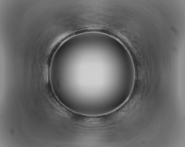 X0000113621171200909181433