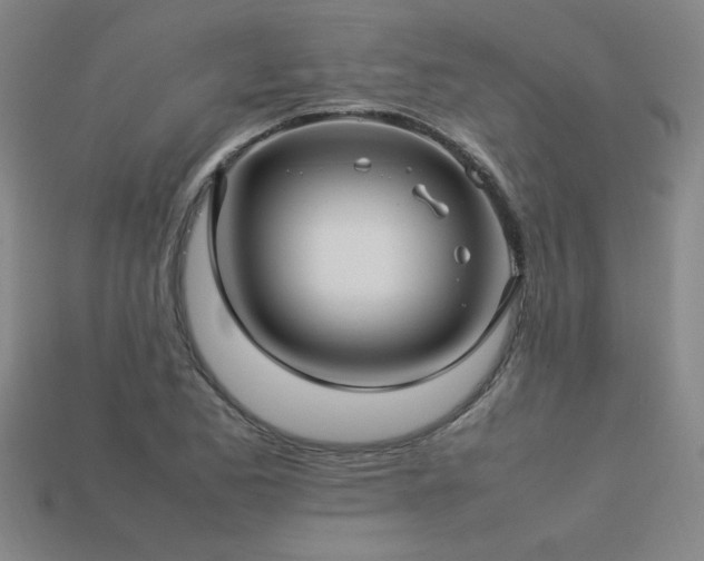 X0000113621173200909181433