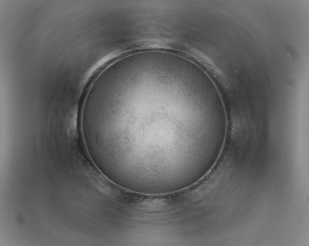 X0000113621174200909181433