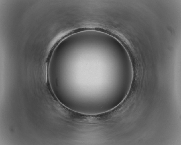 X0000113621175200909181433