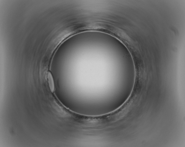 X0000113621177200909181433