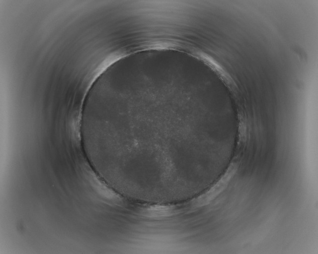 X0000113621178200909181433