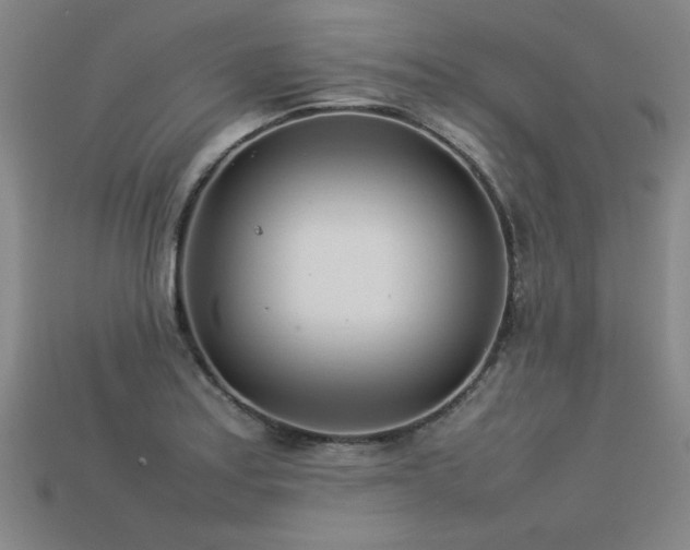 X0000113621179200909181433