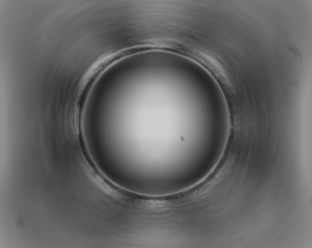 X0000113621180200909181433