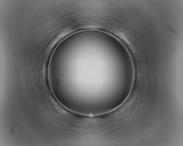 X0000113621181200909181433