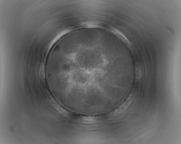 X0000113621182200909181433