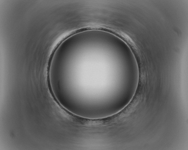 X0000113621183200909181433