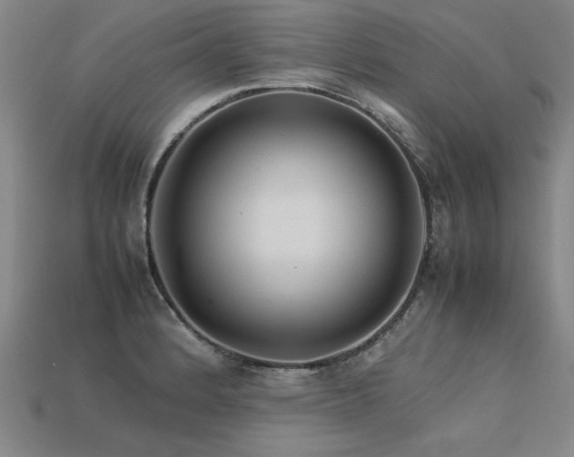 X0000113621184200909181433