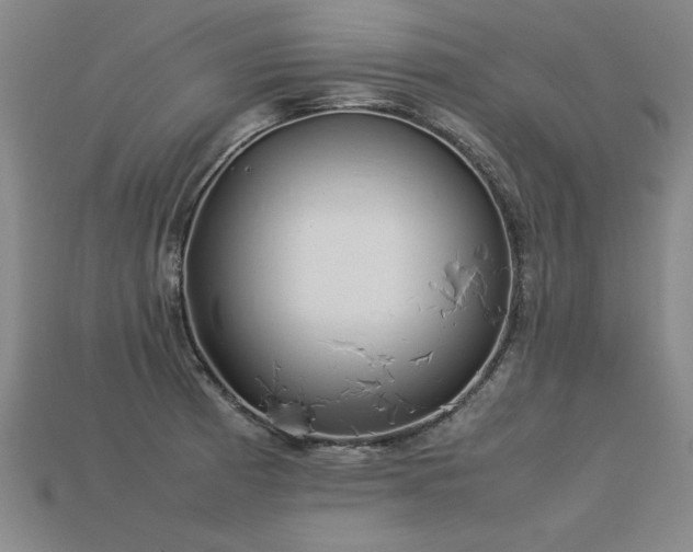 X0000113621185200909181433