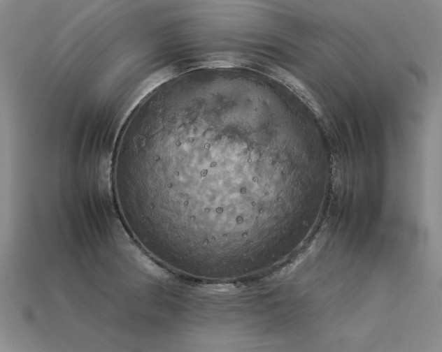 X0000113621186200909181433