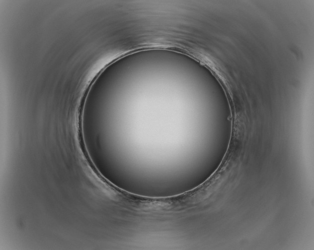 X0000113621187200909181433