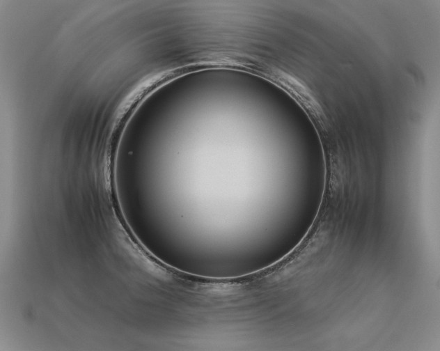 X0000113621188200909181433