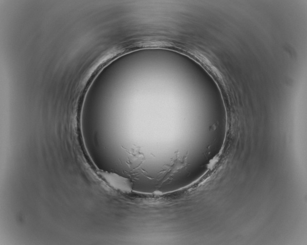 X0000113621189200909181433