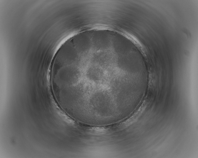 X0000113621190200909181433