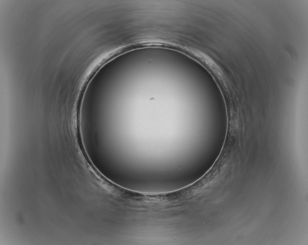 X0000113621191200909181433