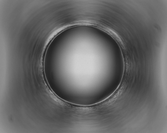 X0000113621192200909181433