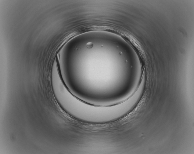 X0000113621193200909181433