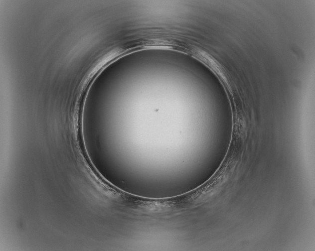 X0000113621195200909181433