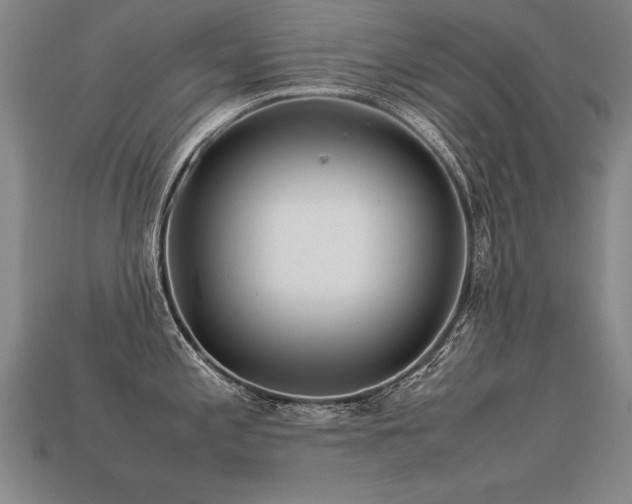 X0000113621197200909181433